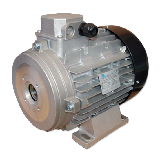 MOTOR ELÉCTRICO EJE HUECO CARCASA ALUMINIO MOTOR ELÉCTRICO EJE HUECO CARCASA ALUMINIO